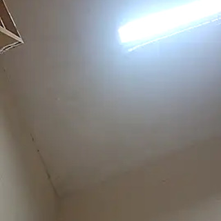Jenny_Vargazz