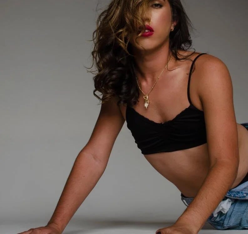 Model Merlia