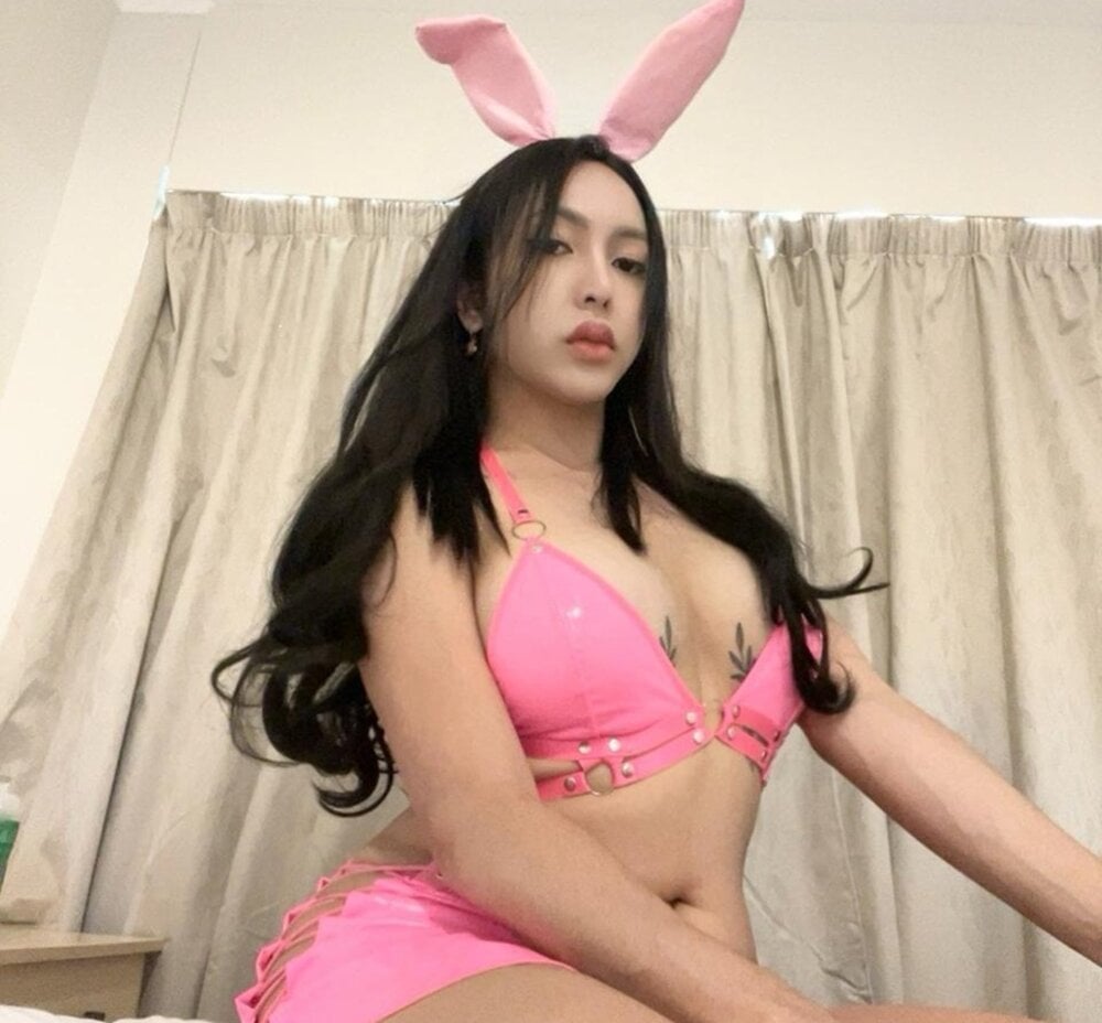 MissAsianKitty's Chat Model MissAsianKitty