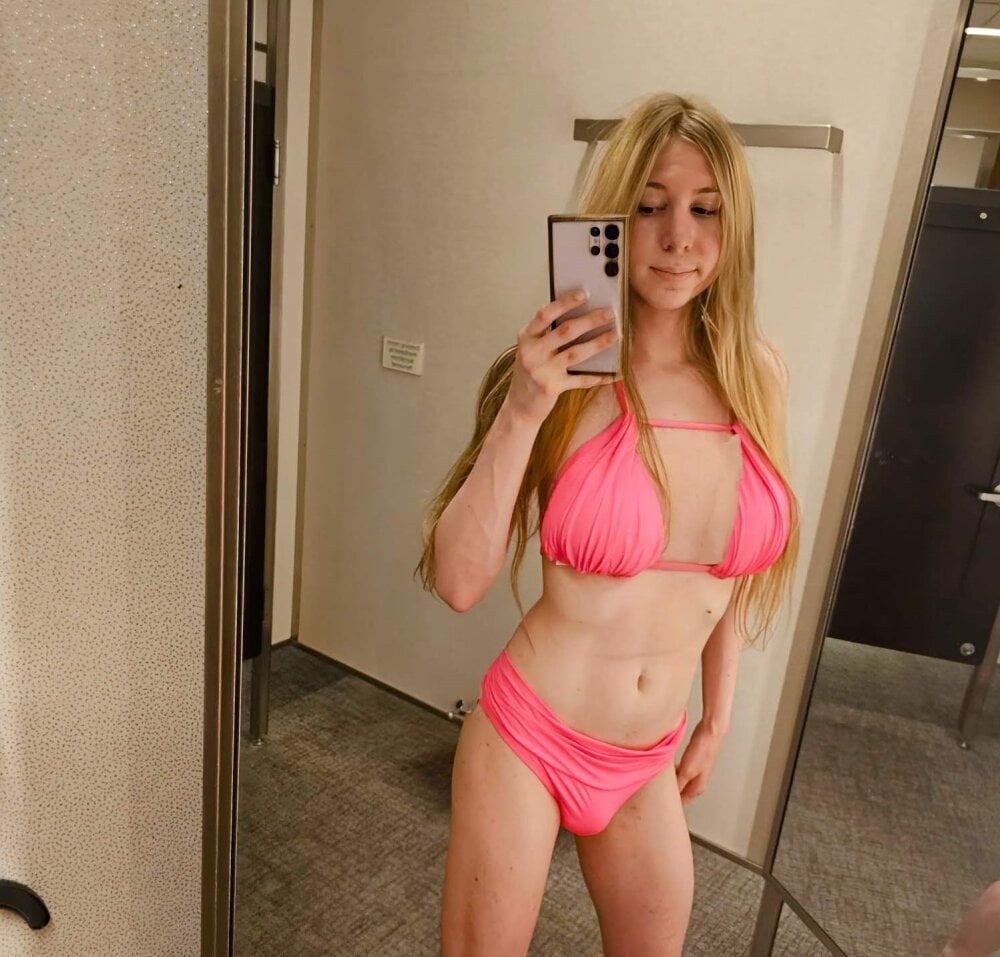 Model Noelqt