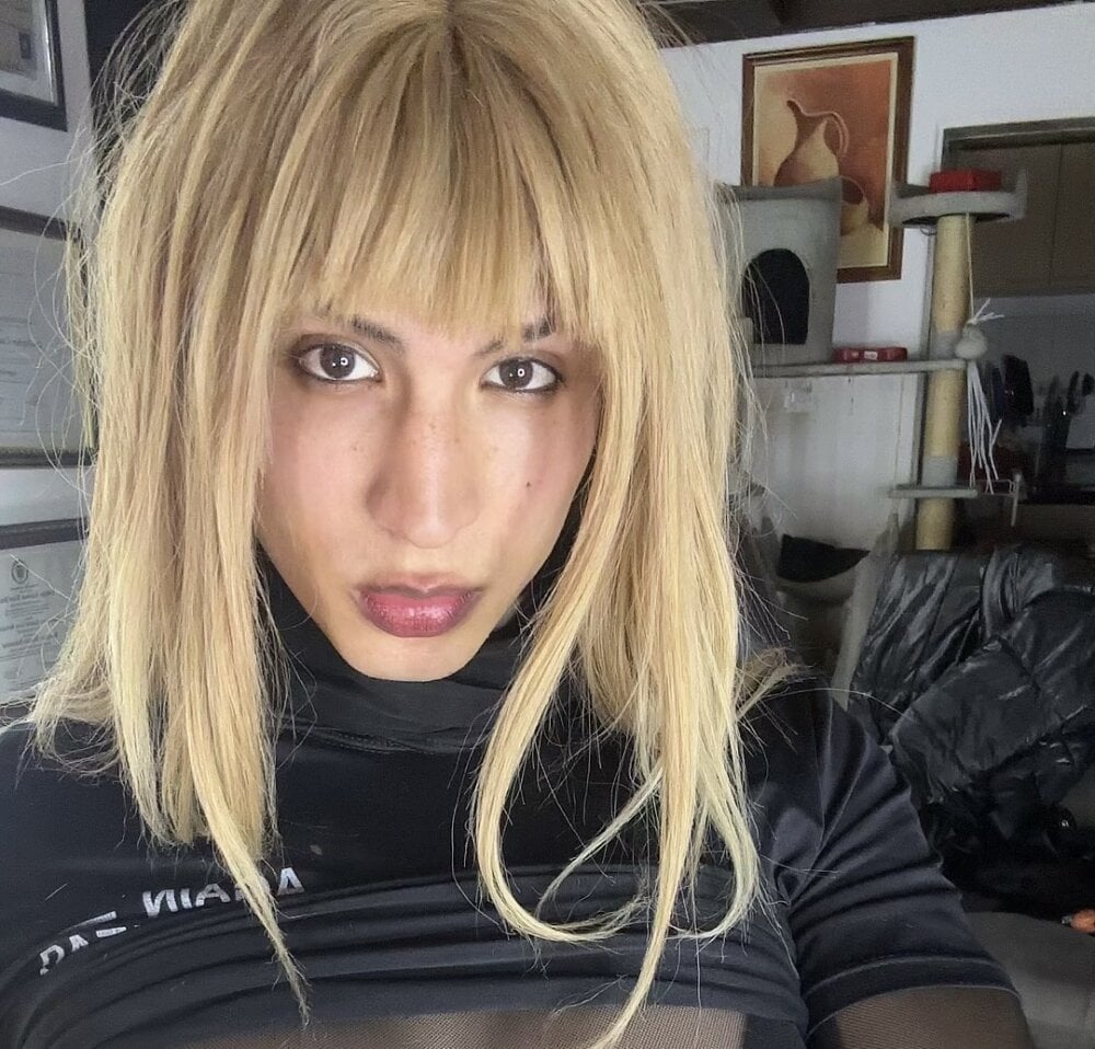 Model Tu_Chica_Trans_favorita