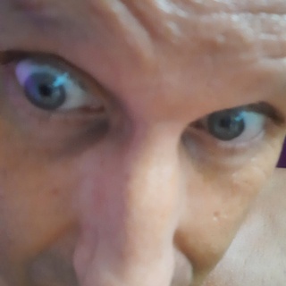 Wilderstier79
