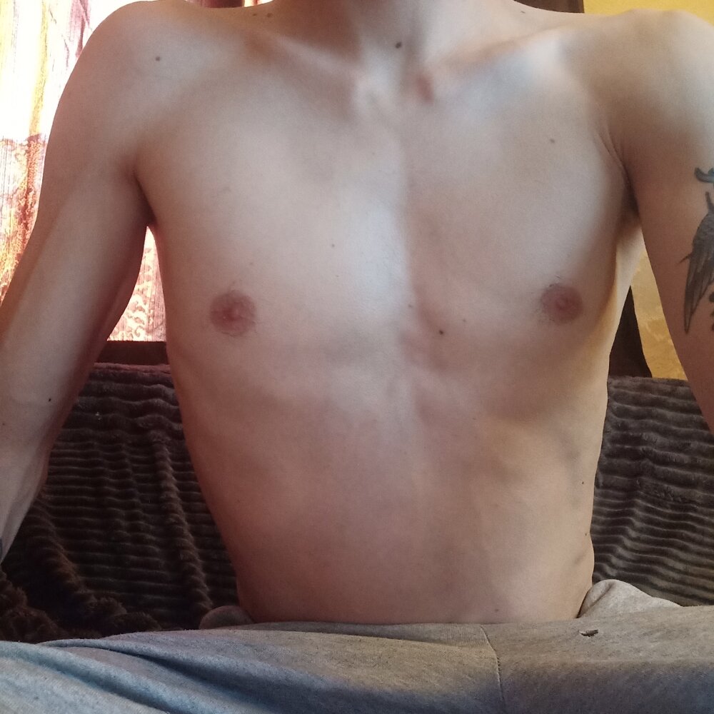 Model Xbox4200