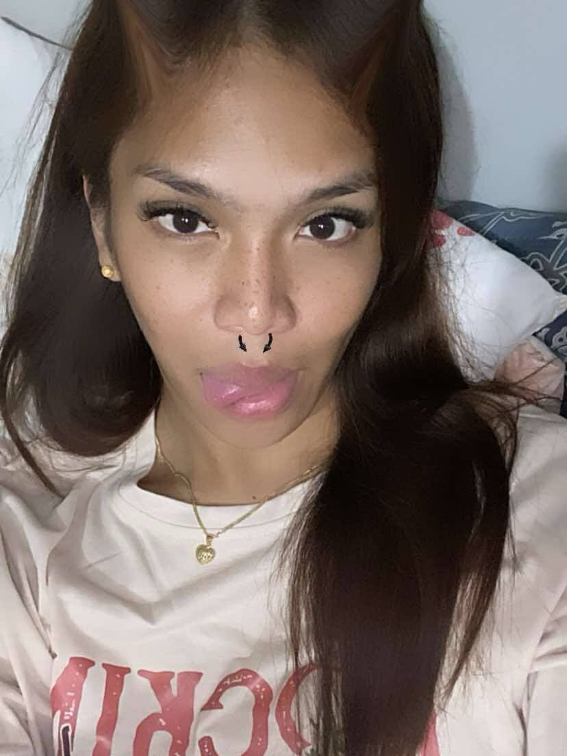 Model hipakera