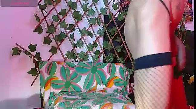 maddy_saenz_'s Chat Model maddy_saenz_