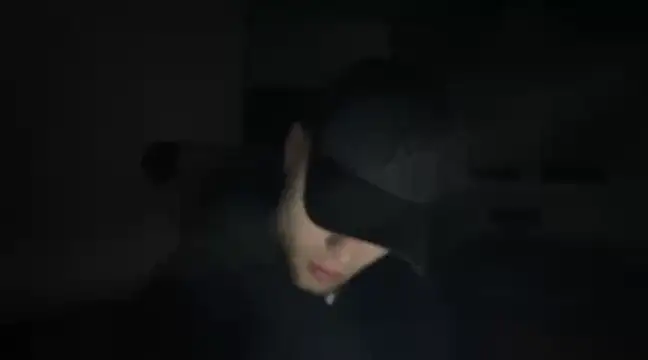 Model persssikis