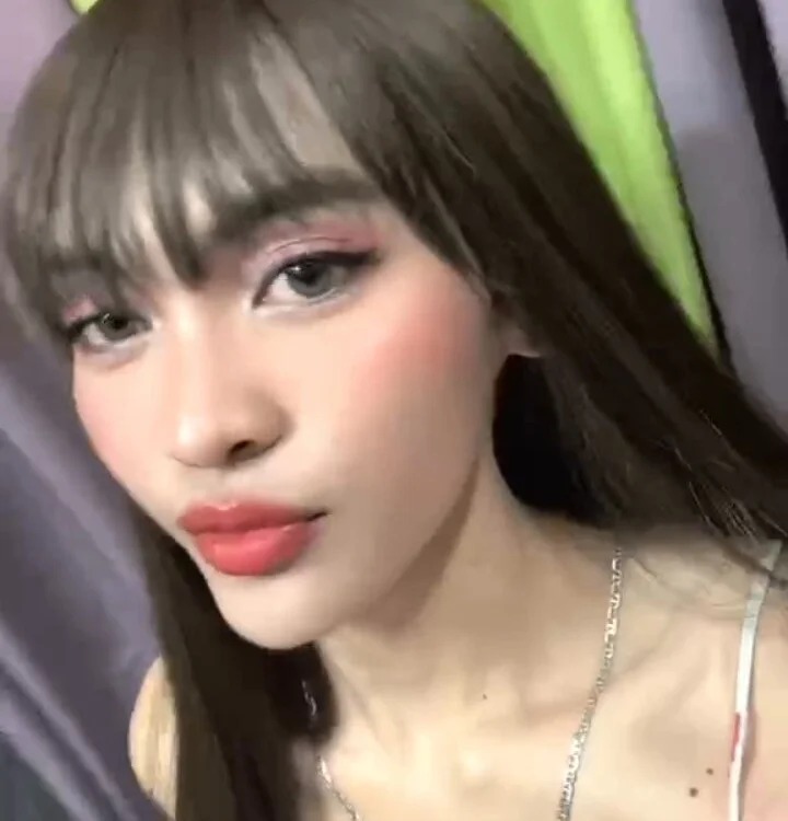 Model precious_fun