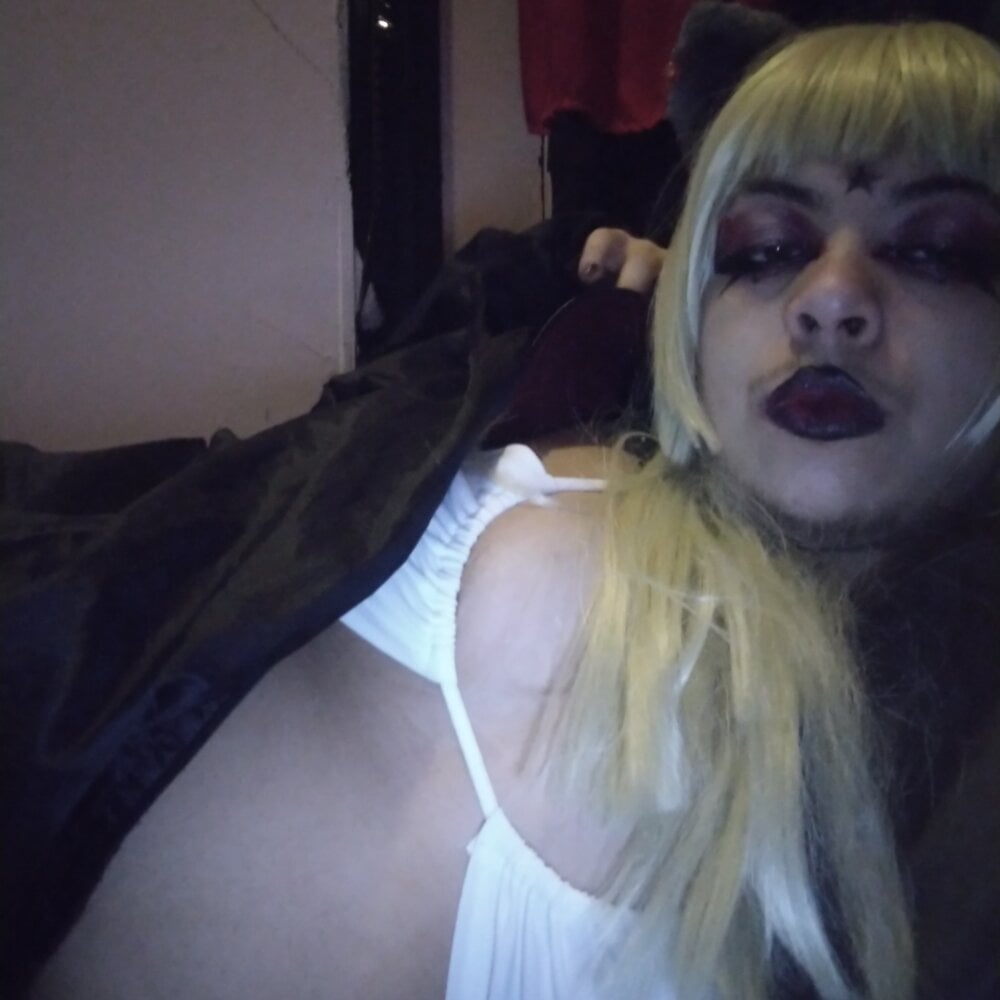 Model wheelchair_ftm